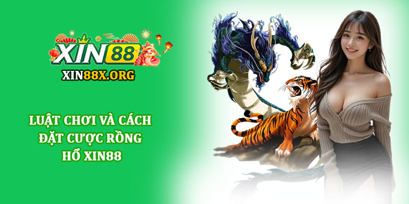Rồng hổ Xin88 - Trải nghiệm game bài đơn giản, hấp dẫn 2 Luật chơi và cách đặt cược Rồng hổ Xin88