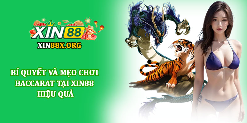 Rồng hổ Xin88 - Trải nghiệm game bài đơn giản, hấp dẫn 1 Rồng hổ Xin88 - Trải nghiệm game bài đơn giản, hấp dẫn